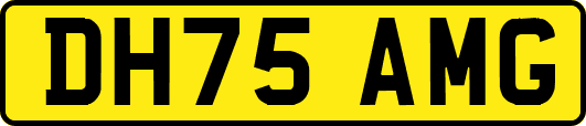DH75AMG