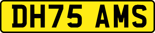 DH75AMS