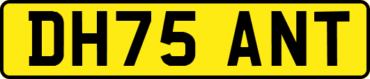 DH75ANT