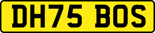 DH75BOS