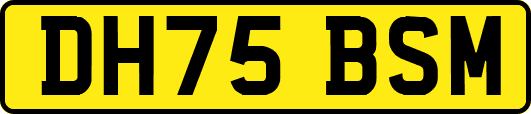 DH75BSM