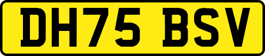 DH75BSV
