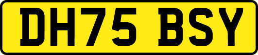 DH75BSY