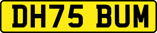 DH75BUM