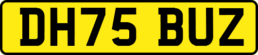 DH75BUZ
