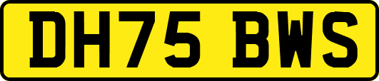 DH75BWS