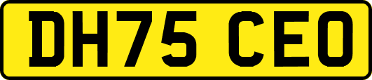 DH75CEO