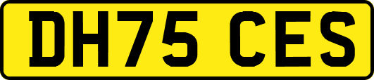 DH75CES