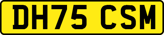 DH75CSM
