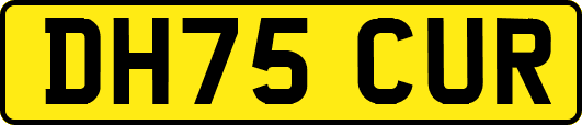 DH75CUR