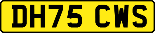 DH75CWS