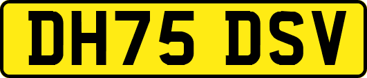 DH75DSV