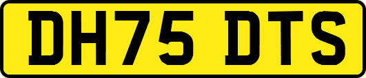 DH75DTS