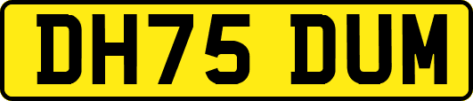 DH75DUM