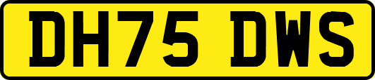 DH75DWS