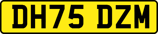 DH75DZM