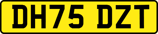 DH75DZT
