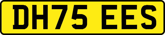 DH75EES