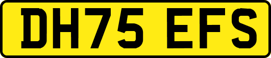 DH75EFS