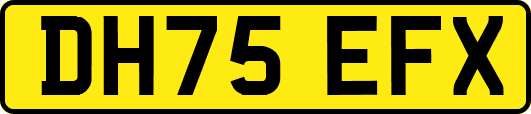 DH75EFX