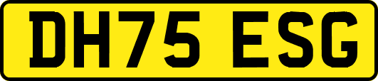 DH75ESG