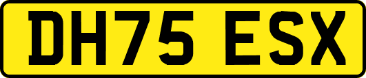 DH75ESX