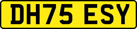 DH75ESY