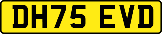 DH75EVD
