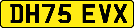 DH75EVX