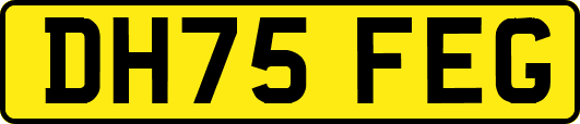 DH75FEG