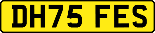 DH75FES