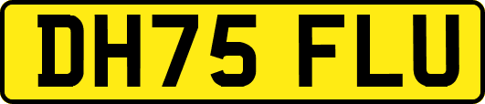DH75FLU