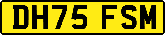 DH75FSM