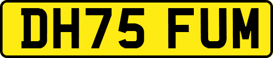 DH75FUM