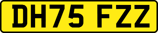 DH75FZZ
