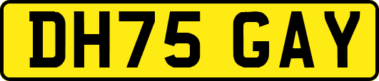 DH75GAY