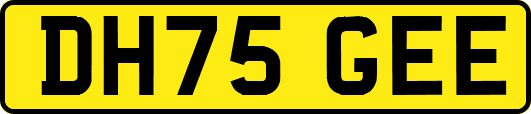 DH75GEE