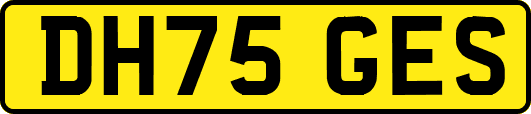 DH75GES