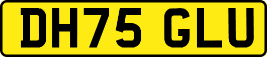 DH75GLU