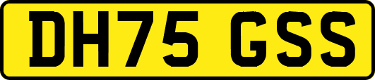 DH75GSS