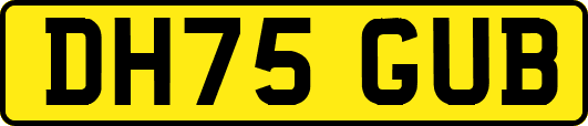 DH75GUB
