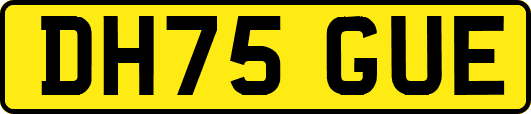 DH75GUE