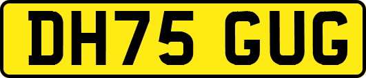 DH75GUG
