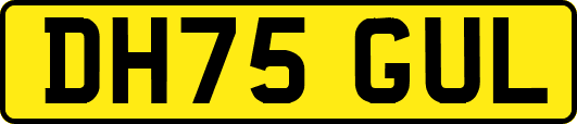 DH75GUL
