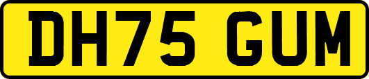DH75GUM