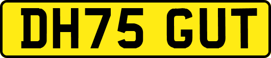 DH75GUT