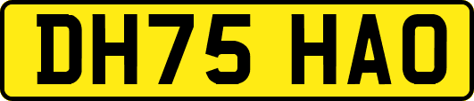 DH75HAO