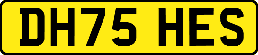 DH75HES