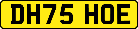 DH75HOE