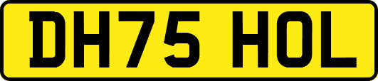 DH75HOL